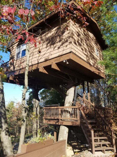 A wooden treehouse elevated among trees, featuring a staircase and surrounded by autumn foliage.