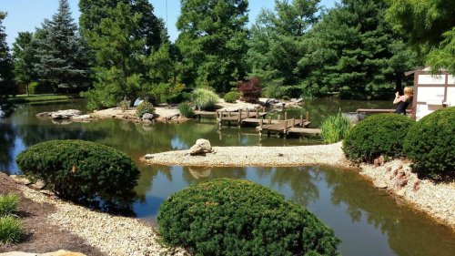 A serene pond surrounded by lush greenery, rocks, and a wooden dock under a clear blue sky.