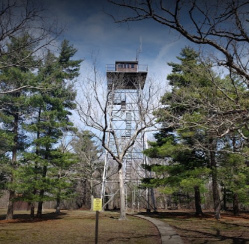 A tall observation tower surrounded by trees, with a path leading towards it and a sign in the foreground.