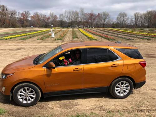 An orange SUV parked in a flower field, with a person inside holding a bouquet of colorful flowers.
