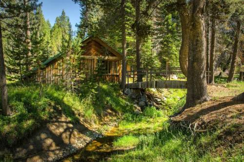 A rustic cabin nestled among tall trees, with a small bridge over a stream in a lush green forest.
