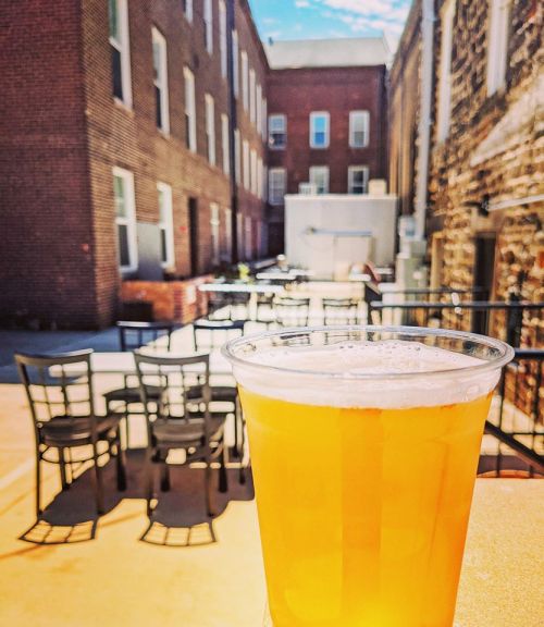 A close-up of a beer in a plastic cup, with a sunny courtyard and empty chairs in the background.