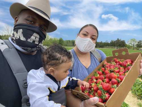 A family holds a box of fresh strawberries while enjoying a day outdoors, with a scenic sky in the background.