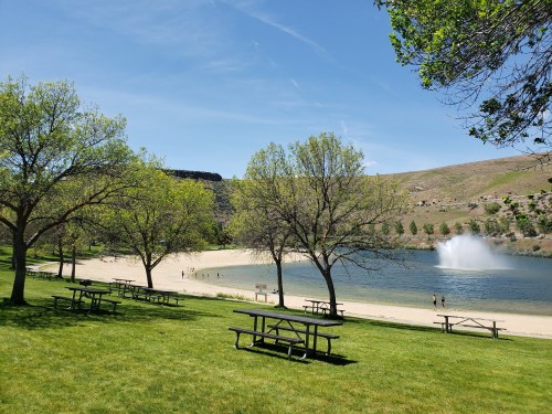 A serene park scene with green grass, trees, a sandy beach, and a fountain in the water under a clear blue sky.