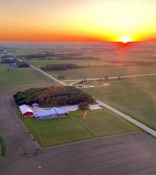 Aerial view of a farm at sunset, with fields, a road, and a cluster of buildings surrounded by greenery.
