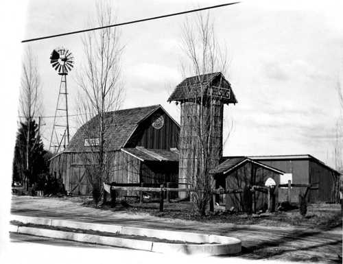 Black and white photo of a rustic barn with a windmill, surrounded by trees and a fence.