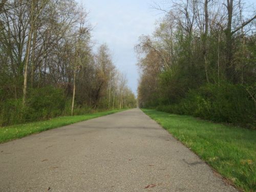 A serene, tree-lined pathway stretches into the distance, flanked by greenery on both sides under a cloudy sky.