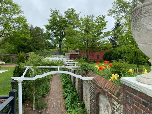 A lush garden path lined with white trellises, vibrant flowers, and greenery under a cloudy sky.