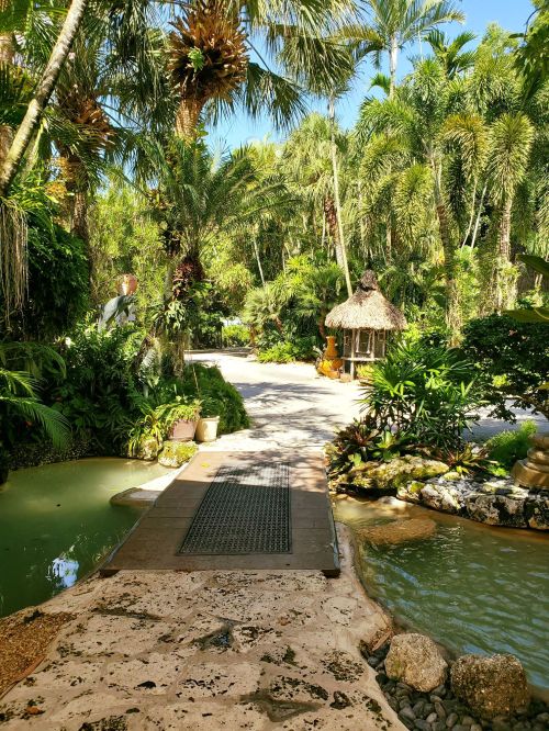 Lush tropical garden with palm trees, a thatched gazebo, and a stone bridge over a small pond. Bright blue sky above.