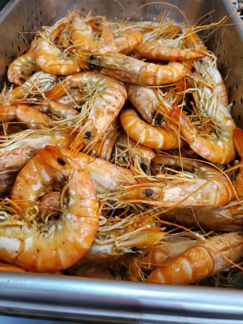 A close-up of a metal container filled with cooked shrimp, showcasing their orange shells and long antennae.