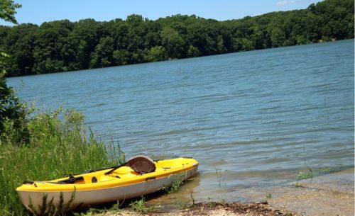 A yellow kayak rests on the shore of a calm lake, surrounded by green trees and clear blue water.