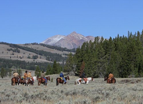 A group of horseback riders in a grassy landscape with mountains and pine trees in the background under a clear blue sky.
