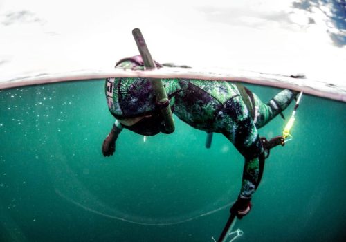 A diver in a camouflaged wetsuit swims underwater, holding a spear, with sunlight filtering through the water's surface.