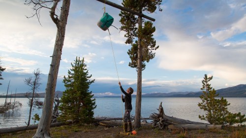 A person pulls a suspended bag up into a tree near a lake, surrounded by trees and mountains under a cloudy sky.
