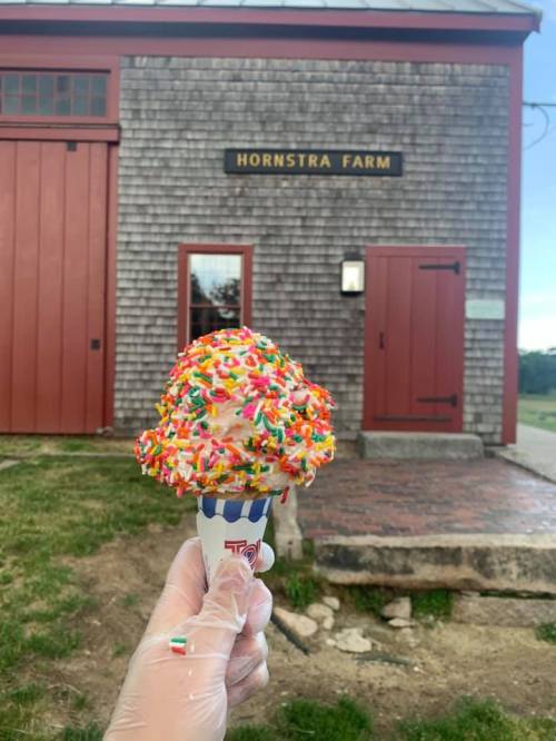 A hand in a glove holds a colorful ice cream cone with sprinkles in front of Hornstra Farm's rustic building.