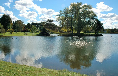A serene lake surrounded by trees, reflecting clouds and sunlight, with ducks swimming in the water.