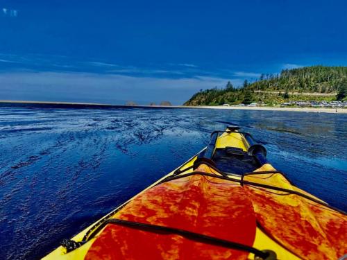 A kayak on calm blue water with a scenic coastline and trees in the background under a clear blue sky.