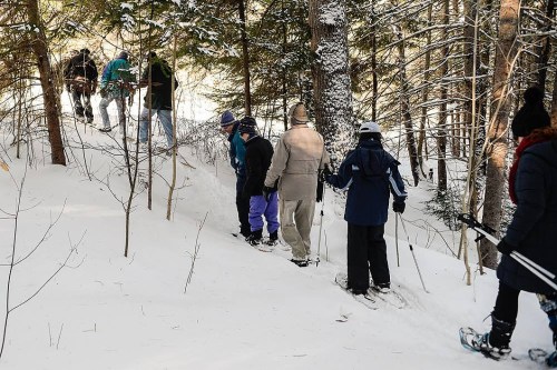 A group of people snowshoeing through a snowy forest trail surrounded by trees.