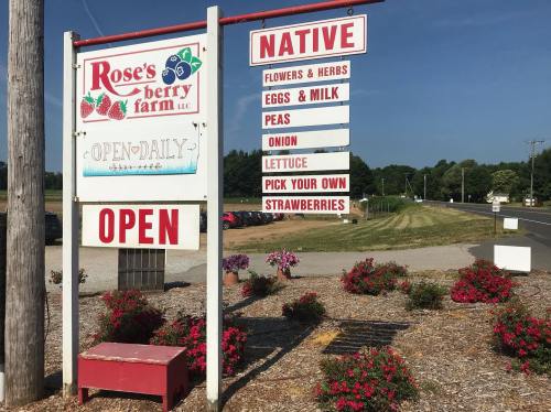Sign for Rose's Berry Farm with "Open" and listings for flowers, herbs, and pick-your-own strawberries. Bright blue sky.