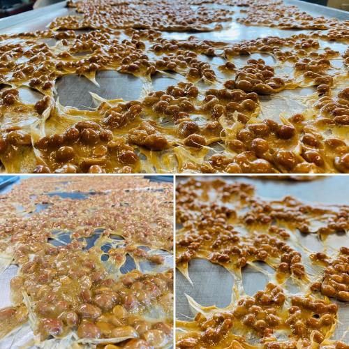 Close-up of a sheet of brittle candy with a glossy surface and clusters of nuts embedded throughout.
