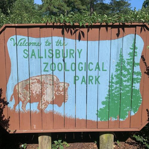 Wooden sign welcoming visitors to Salisbury Zoological Park, featuring a bison and green trees on a blue background.