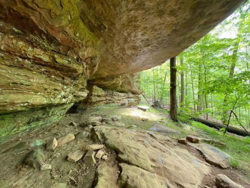A rocky overhang in a lush green forest, with scattered stones on the ground and trees in the background.