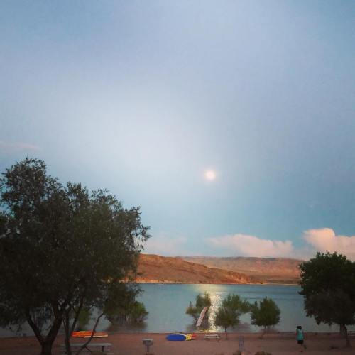 A serene lakeside scene at dusk, with a full moon reflecting on the water and trees lining the shore.