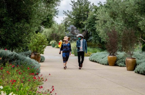 Two people walk along a garden path, surrounded by greenery and flower beds, wearing hats and masks.