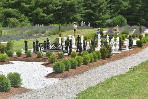 A large outdoor chess set surrounded by greenery and lavender, with people walking in the background.