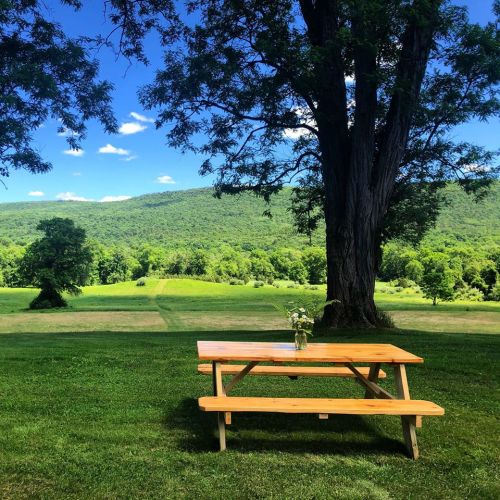 A wooden picnic table under a large tree, with a scenic view of green hills and a blue sky in the background.