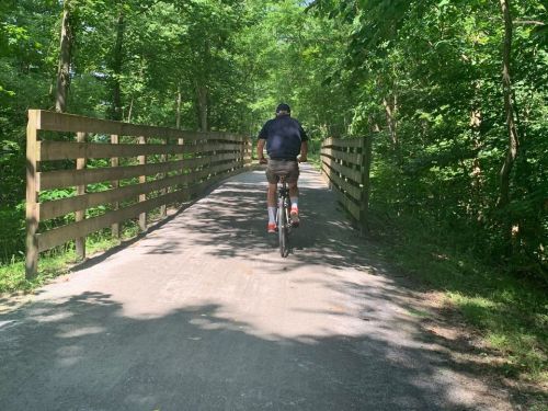 A person riding a bicycle on a wooded path, crossing a wooden bridge surrounded by greenery.