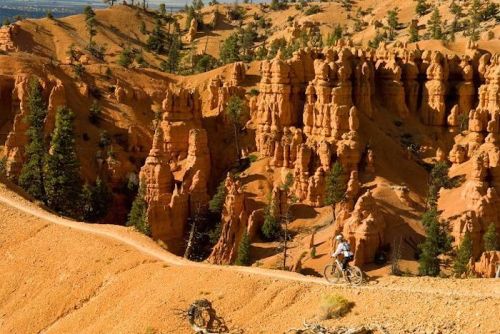 A mountain biker rides along a sandy trail through red rock formations and pine trees in a canyon landscape.