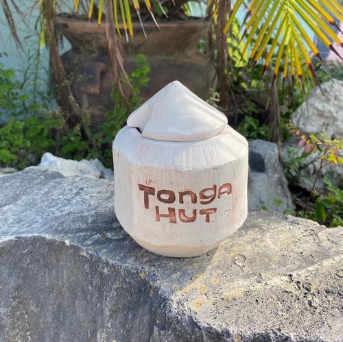 A ceramic container labeled "Tonga Hut" sits on a rock, surrounded by greenery and tropical plants.