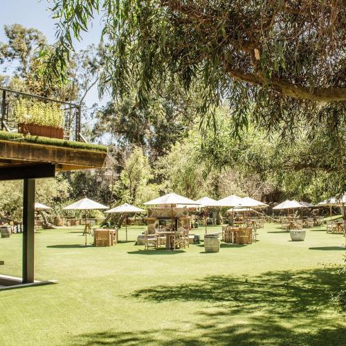A sunny outdoor space with green grass, tables, and umbrellas surrounded by trees.