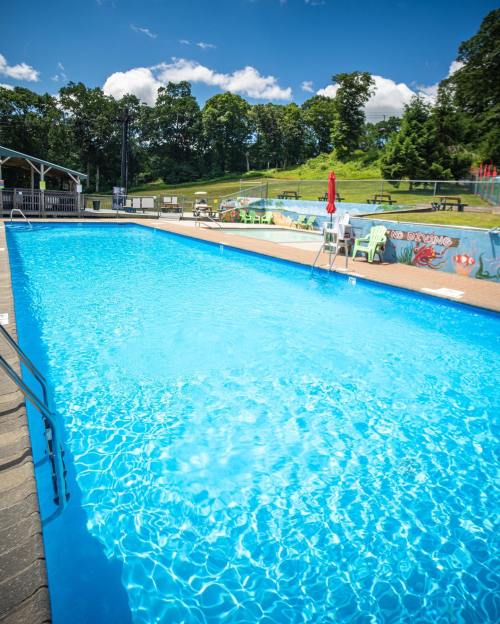 A clear blue swimming pool surrounded by green trees and picnic areas under a bright blue sky.
