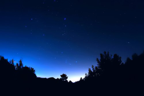A starry night sky with a gradient from deep blue to lighter hues, silhouetted trees in the foreground.