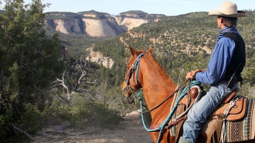 A cowboy on horseback gazes at a scenic canyon landscape, surrounded by trees and rocky cliffs.