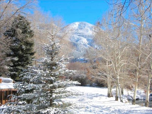 Snow-covered landscape with trees and a mountain under a clear blue sky.