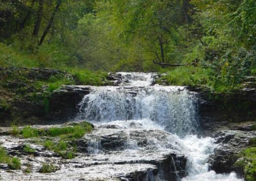 A serene waterfall cascading over rocky terrain, surrounded by lush green trees and foliage.