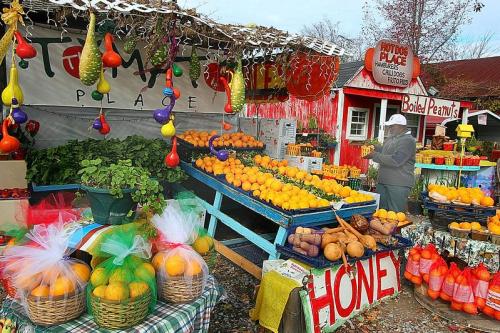 A vibrant farmers market display with colorful fruits, vegetables, and a vendor in a gray coat.