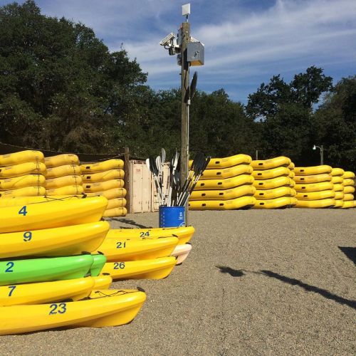 A storage area with stacked yellow kayaks and paddles, set against a backdrop of trees and a blue sky.