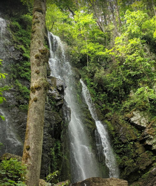 A tall waterfall cascading down rocky cliffs, surrounded by lush green trees and foliage.