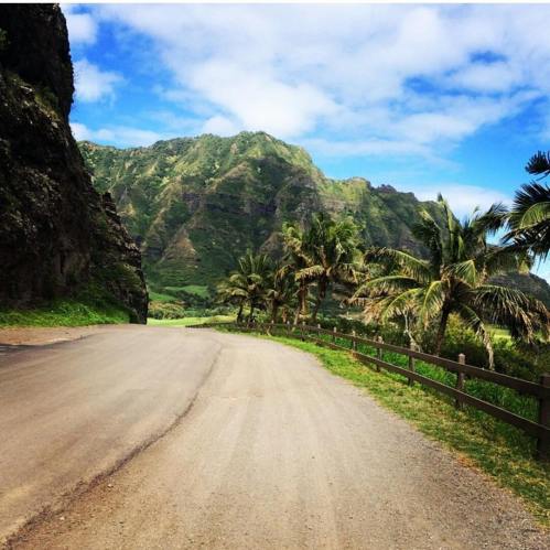 A winding dirt road lined with palm trees, leading towards lush green mountains under a blue sky with scattered clouds.