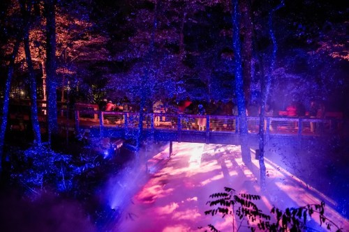 A wooden bridge illuminated by blue lights over a misty river, surrounded by trees at night.