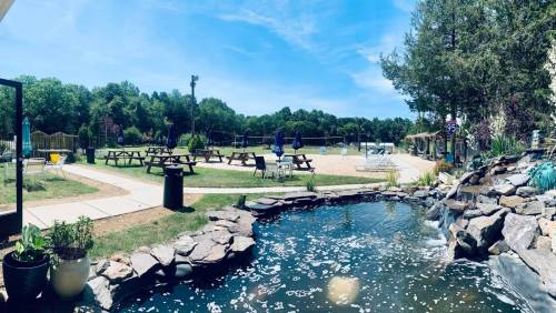 A sunny outdoor area with picnic tables, a volleyball court, and a pond surrounded by greenery.
