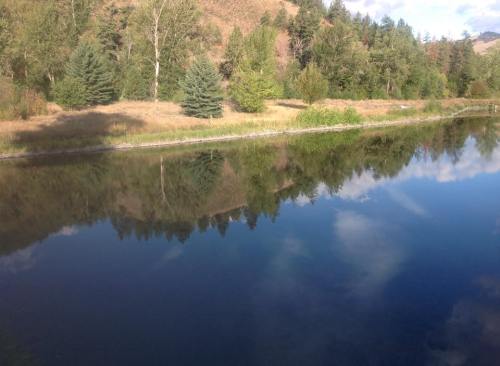 A serene landscape featuring a calm river reflecting trees and clouds, surrounded by hills and greenery.