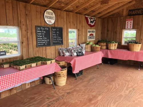 A rustic farm stand with wooden walls, checkered tablecloths, and baskets of fresh produce for sale.