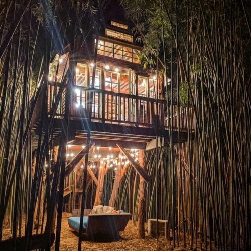 A cozy treehouse surrounded by tall bamboo, illuminated by string lights at night.