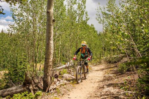 A mountain biker rides along a dirt trail surrounded by lush green trees and a cloudy sky.