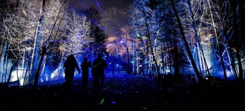 A group walks through a forest illuminated by blue lights, creating a magical nighttime atmosphere.